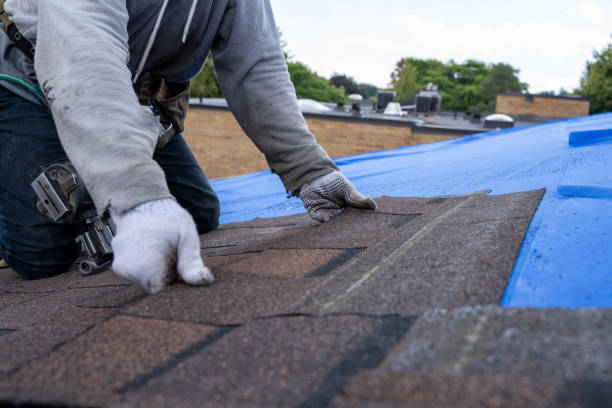 Best Commercial Roofing Services  in Mount Pulaski, IL